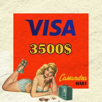 Visa $3500 Balance